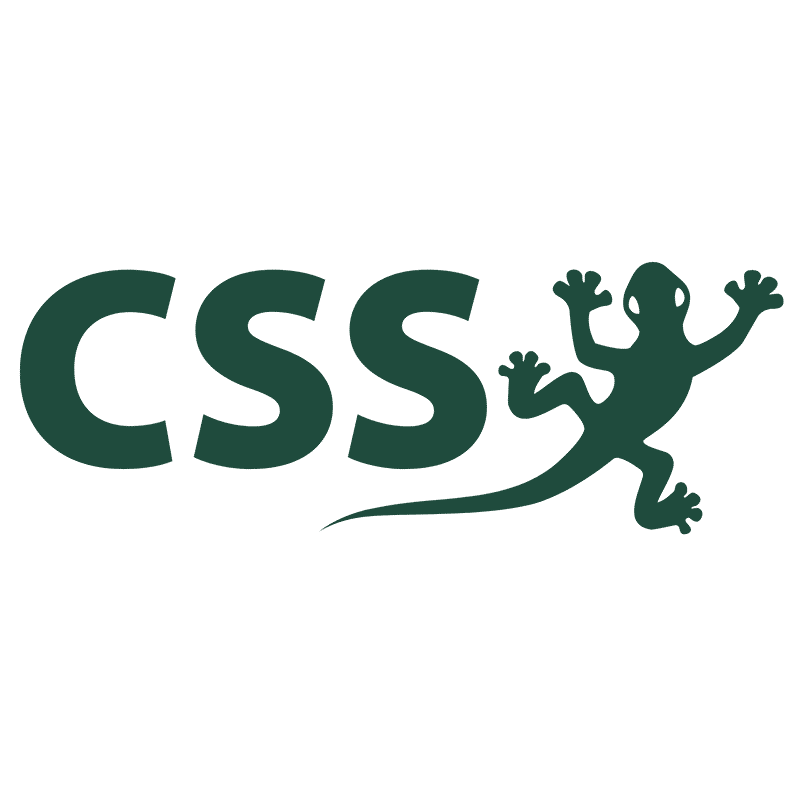 Logo css AG